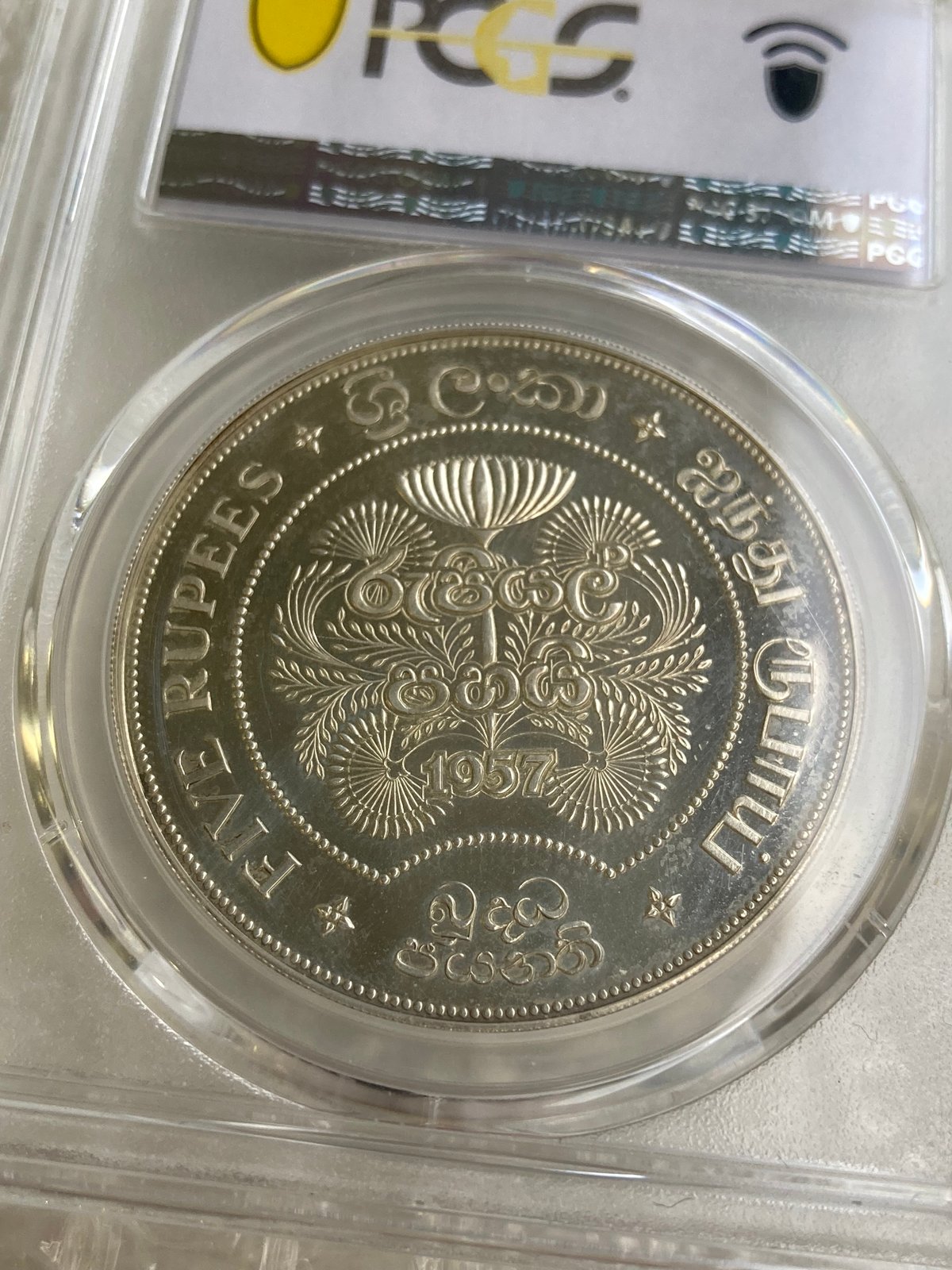 プルーフ版 イギリス領セイロン島 1957年 仏教2500周年 5ルピー