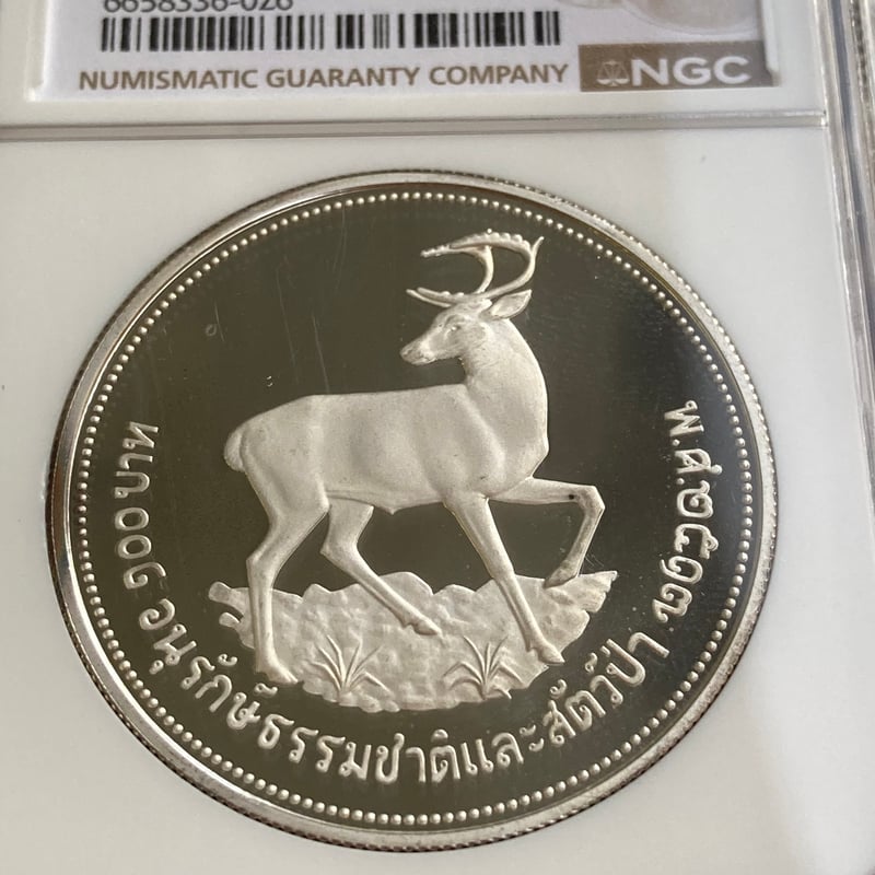 NGC鑑定PF69 1974年 タイ 野生動物保護シリーズ ターミンジカ