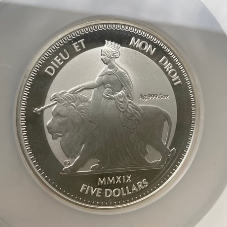 【NGC鑑定MS66】 5オンス ウナとライオン 2019 イギリス領 ヴァージン諸島 5ドル銀貨 5oz シルバーコイン 英国 BVI Una Lion BU版