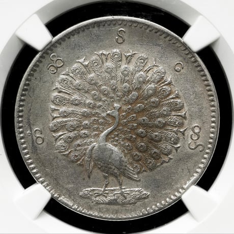 【NGC鑑定AU50】 1852年 ビルマ ミャンマー 孔雀 クジャク 1チャット銀貨 シルバーコイン 東南アジア アンティークコイン Burma Kyat peacock