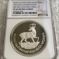 ウナとライオン 2022年 イギリス領セントヘレナ造幣局 ゴールド