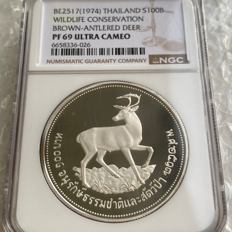 FutureVision's STORE