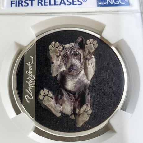 NGC鑑定PF70+FR クック諸島 2025年 アンダールック・ドッグ イヌ 犬 銀貨 シルバー プルーフコイン 写真家 Andrius Burba Underlook dog