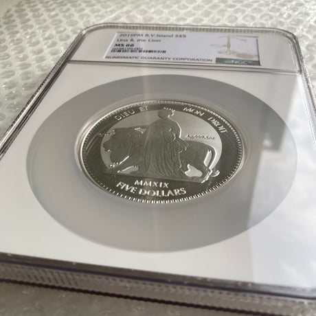 【NGC鑑定MS66】 5オンス ウナとライオン 2019 イギリス領 ヴァージン諸島 5ドル銀貨 5oz シルバーコイン 英国 BVI Una Lion BU版
