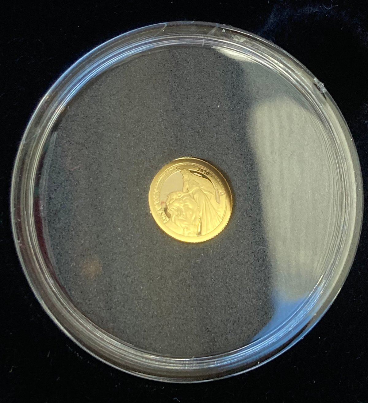 ウナとライオン 2020年 セントヘレナ 1/2グラム金貨 プルーフコイン 東