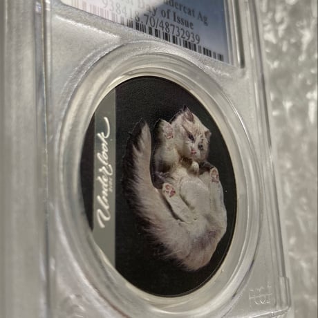 発行即日鑑定‼︎ PCGS鑑定PR70+FDI クック諸島 2024年 アンダールック・キャット ネコ 猫 銀貨 シルバー プルーフコイン 写真家 Andrius Burba Underlookcat