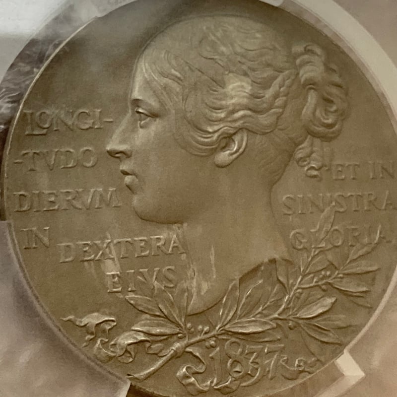 最高鑑定 2019 ビクトリア女王 200周年 銀貨 PCGS PR70DCAM 最高鑑定 2019 ビクトリア女王 200周年 銀貨 PCGS PR70DCAM