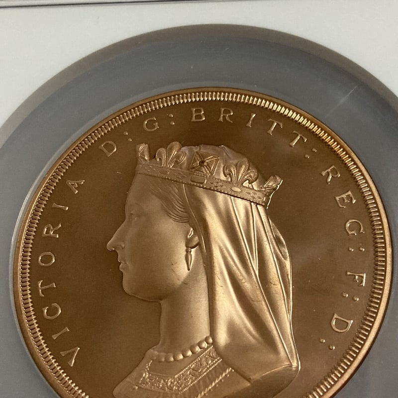 NGC鑑定品】カナダのウナとライオン 10オンス 銅メダル ブロンズ