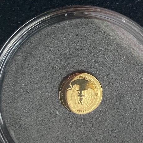 2022年度版  ウナとライオン 2022 セントヘレナ ￡2 金貨 ゴールド プルーフコイン Una Lion