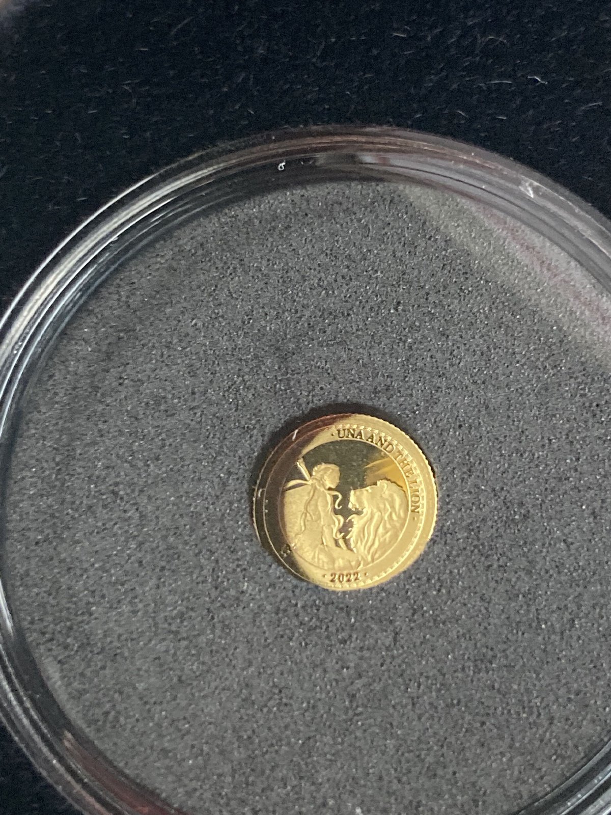ウナとライオン　2022年　0.5gゴールドコイン 2022年 セントヘレナ ウナとライオン 発売開始 | Antique Coin