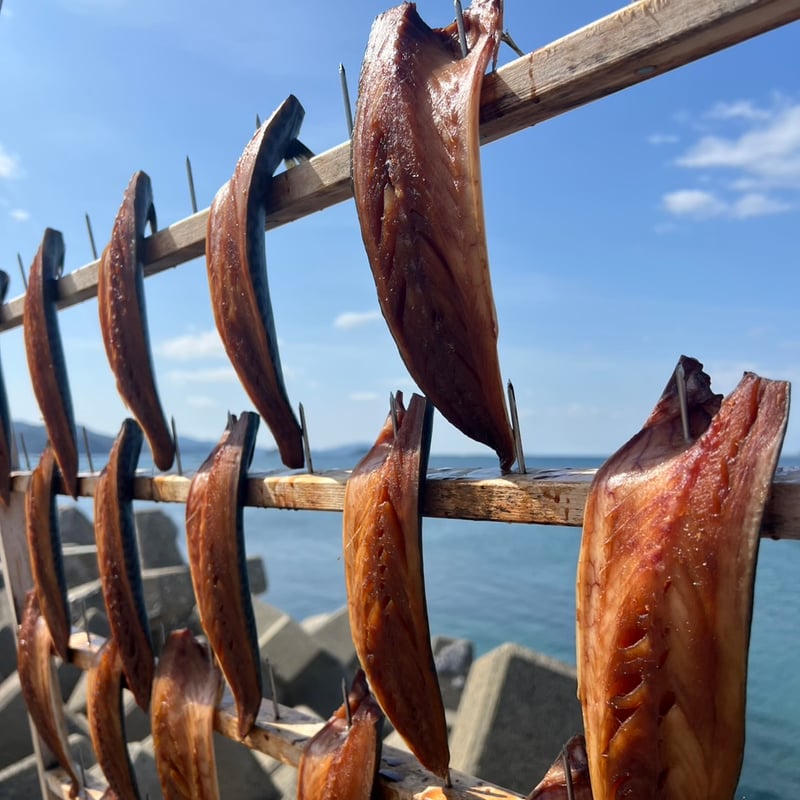 先行予約開始！深堀のさくら干し 極上さば10枚セット（塩5枚・みりん5