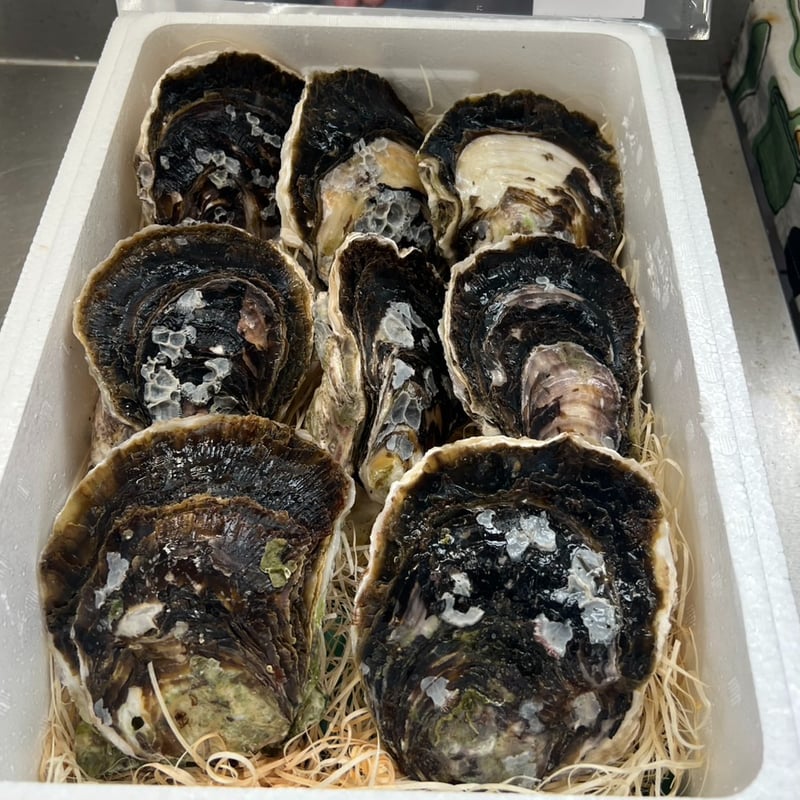 先行予約！深堀の岩牡蠣「夏盛 NATSUZAKARI」2kg 限定品！予約受付