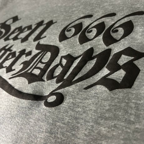 SBD 666 LOGO HOODIE(GRAY)