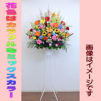 エリア限定配達！御祝用スタンド花　１段