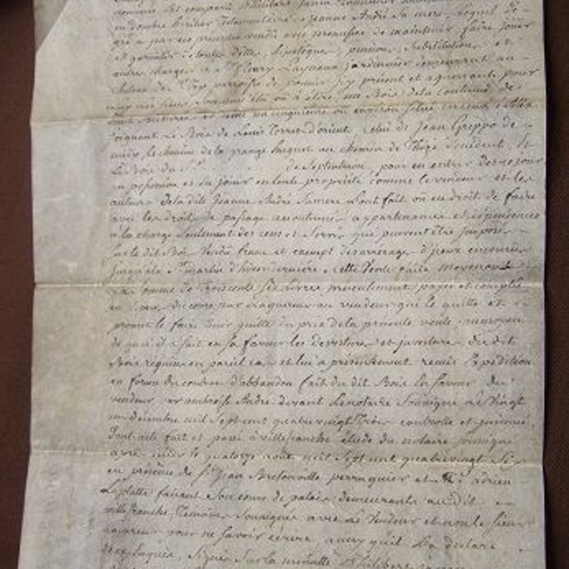 フランス古文書 羊皮紙1786年製 c-256 | Ivy