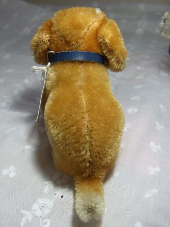 シュタイフダックス子犬 o-329 | Ivy