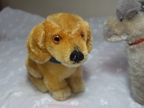 ベルリン購入　超美品シュタイフ 1950年代のダックスフンド　グラスアイ シュタイフダックス子犬 o-329 | Ivy