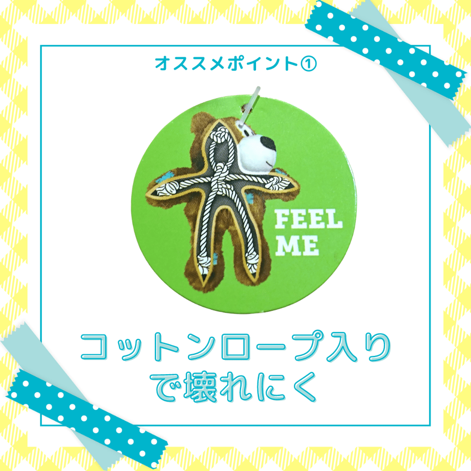 6385cf5241e8c06fd32f2d0c
