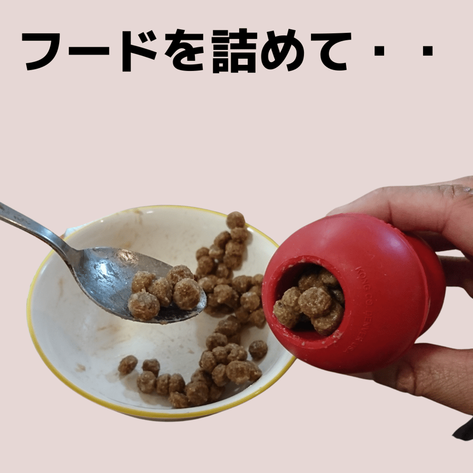 5e64ed6e68c4621cb05346d0