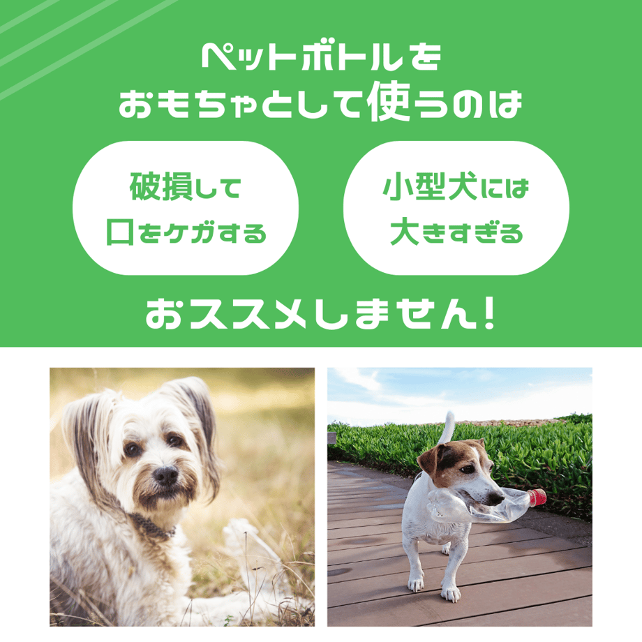 61e508ef1dca3264b3b36b03