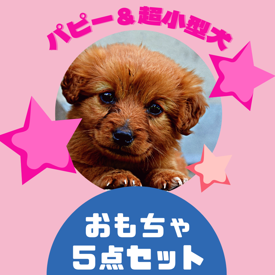 6385d17a88eabe147db67ff3