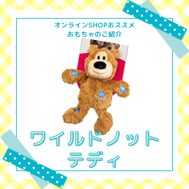 コング ワイルドノット テディ Mサイズ | 犬のしつけ教室「いぬのわく