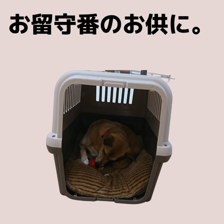 ＫＯＮＧ（コング）