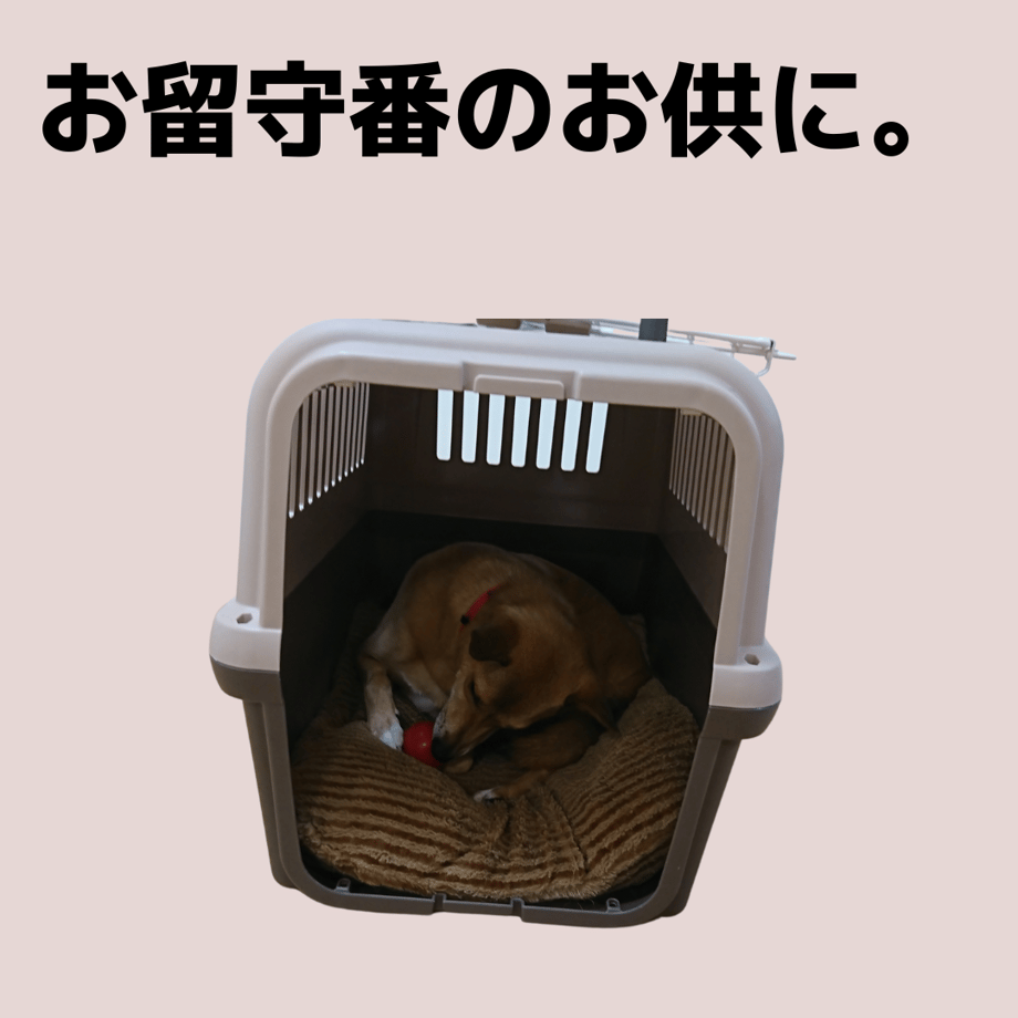 5e64ed6e68c4621cb05346d0