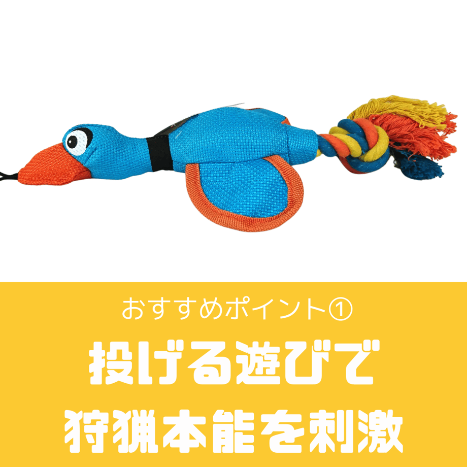 62a70d10d085ee11c701c389