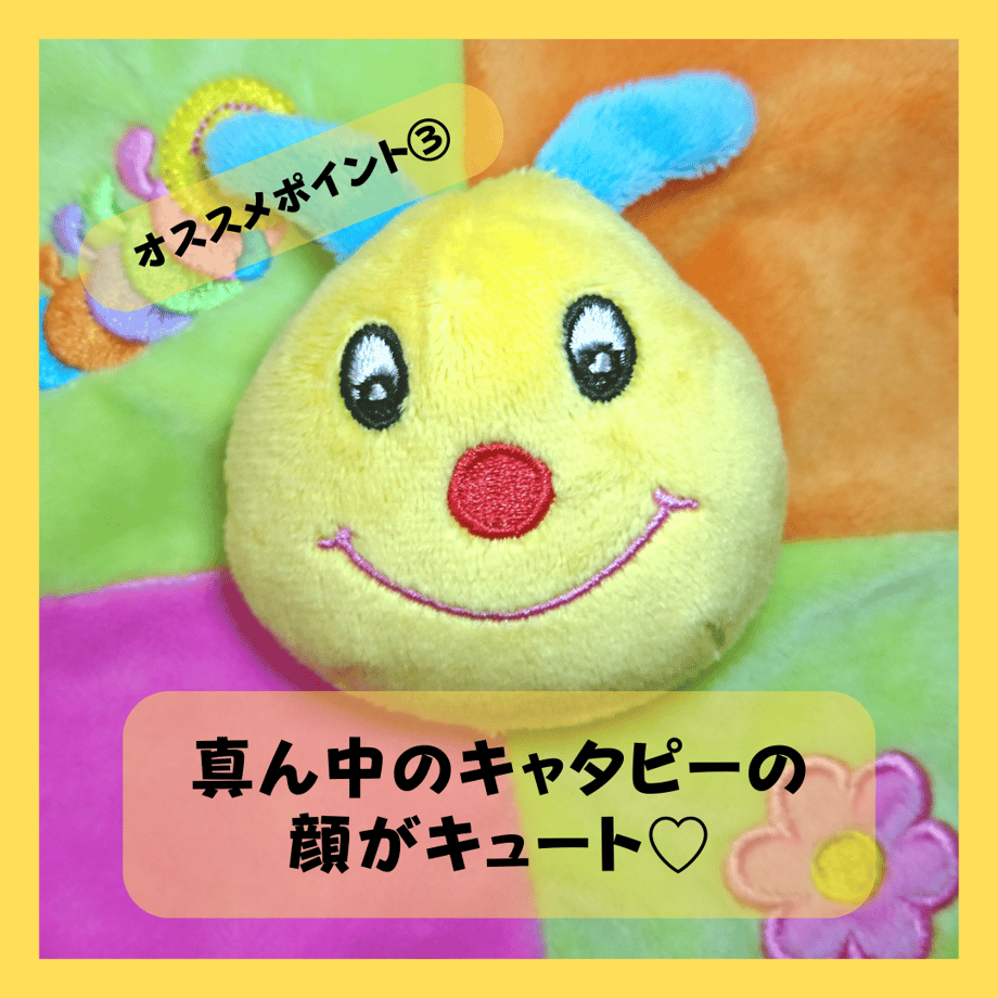 6385a73a88eabe2ae9f35313