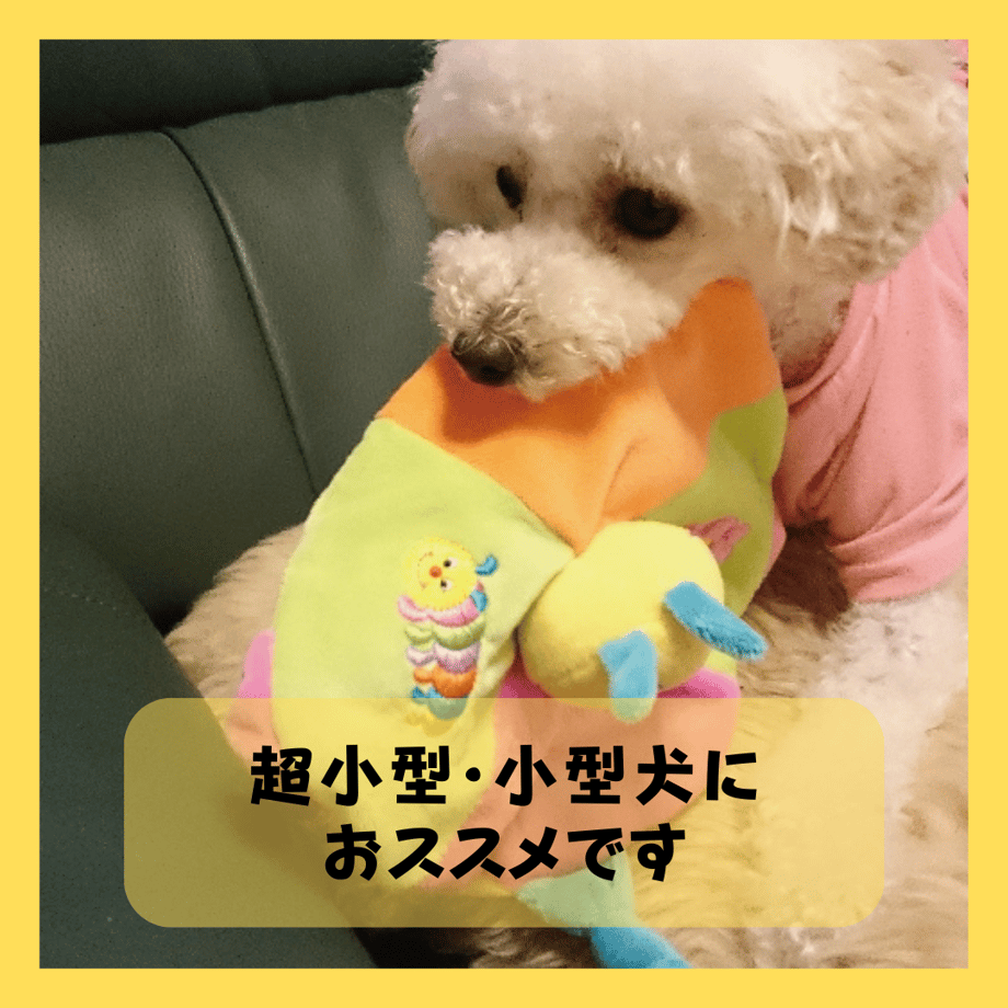 6385a73a88eabe2ae9f35313