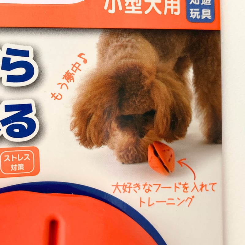 リッチェル ツイスト S小型犬 | 犬のしつけ教室「いぬのわくせい