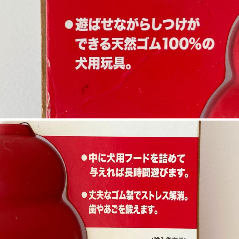 KONG（コング） | 犬のしつけ教室「いぬのわくせい」 おすすめ