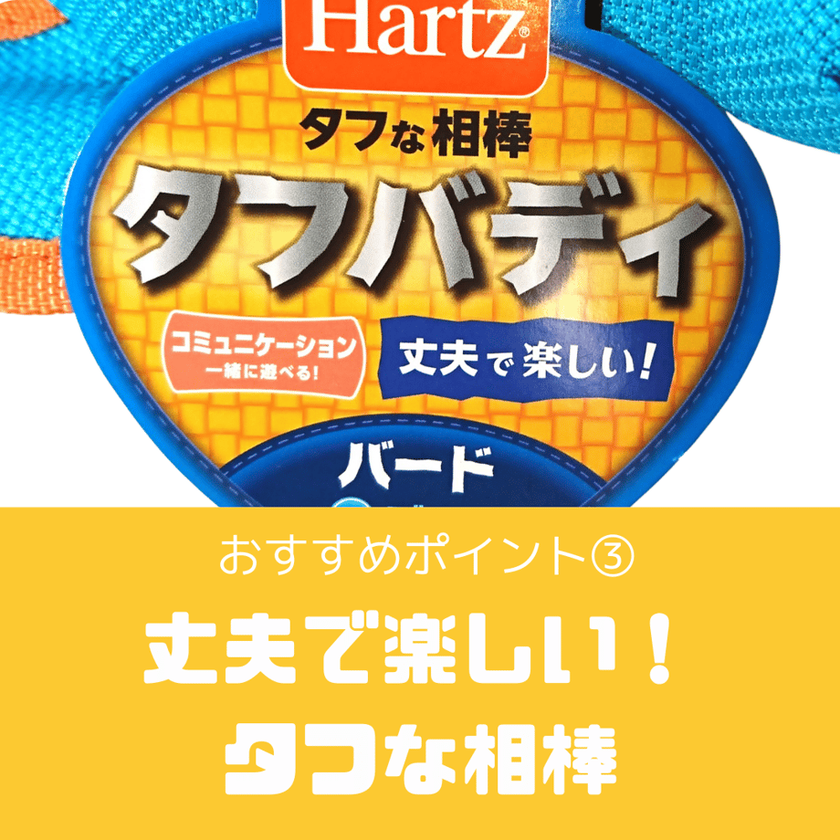 62a70d10d085ee11c701c389