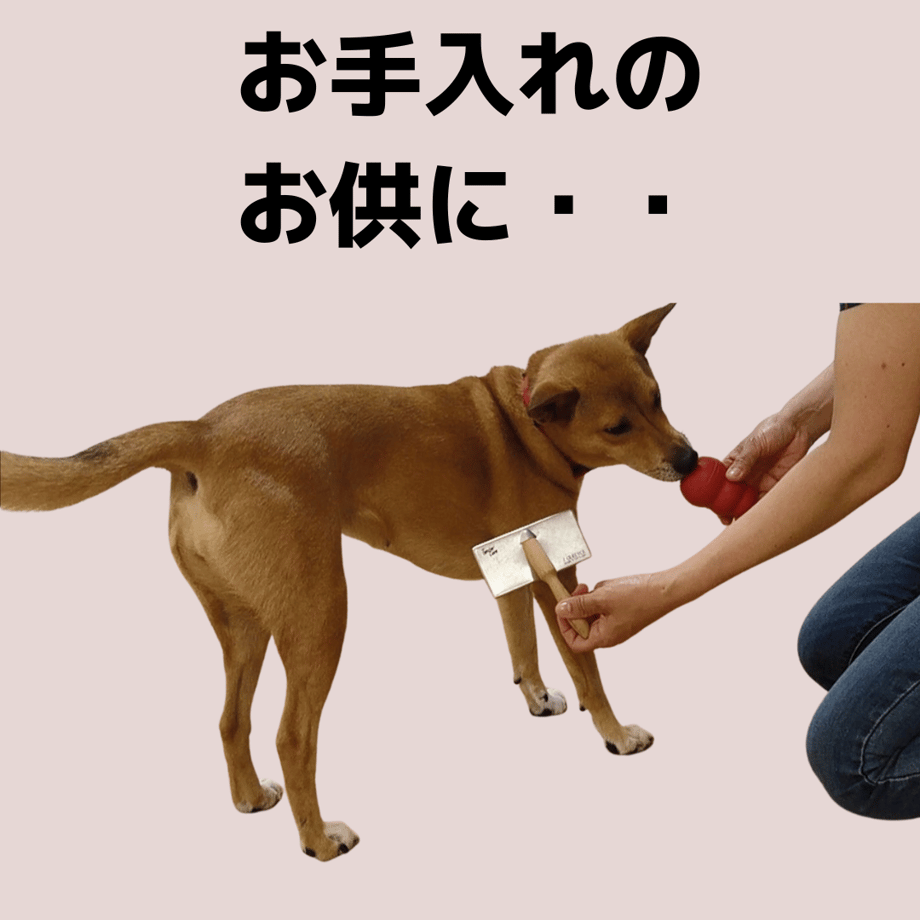 5e64ed6e68c4621cb05346d0