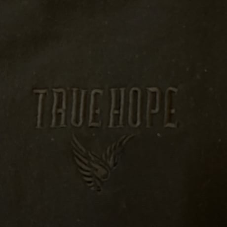 TRUE HOPEスウェットシャツ