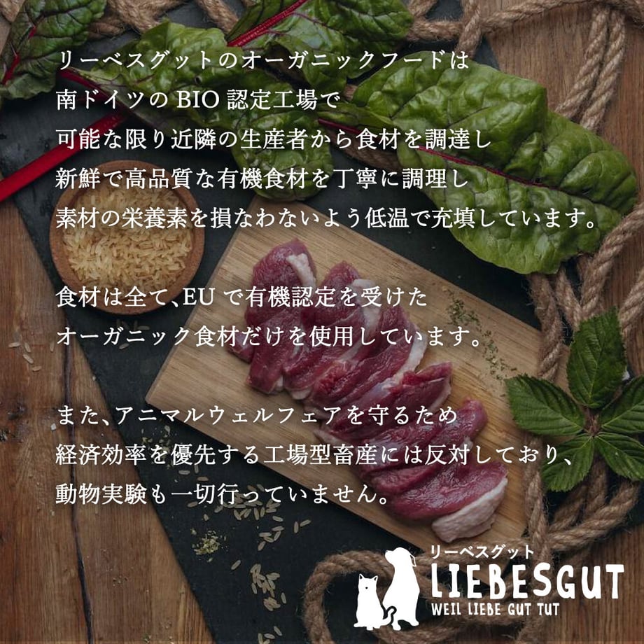 6380c7e953ee8d00015c824f