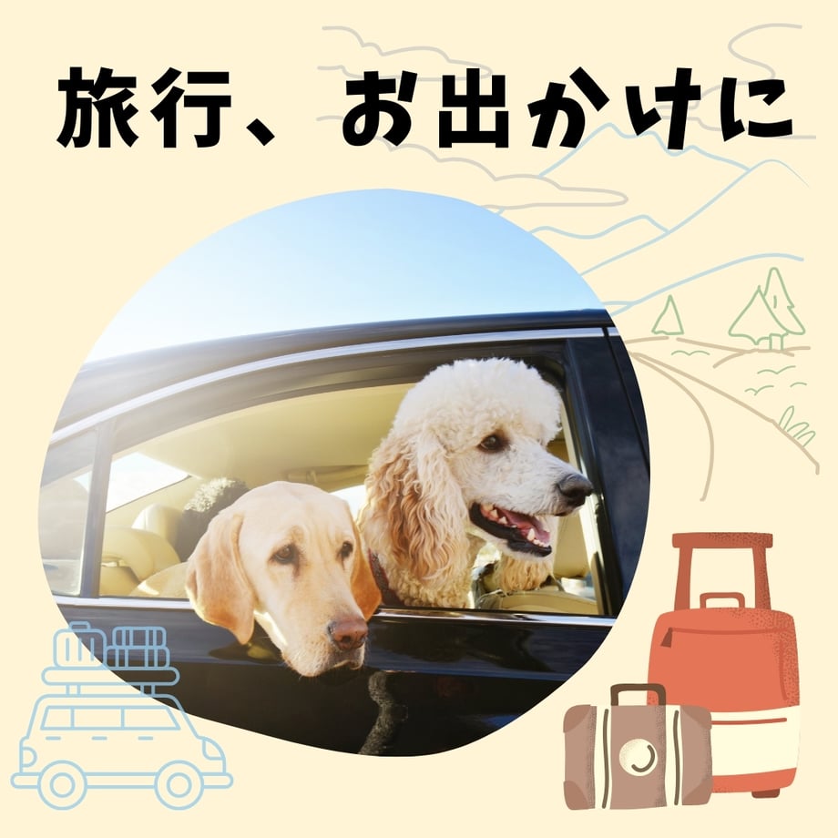 6833ca87a3297d34853b27e2