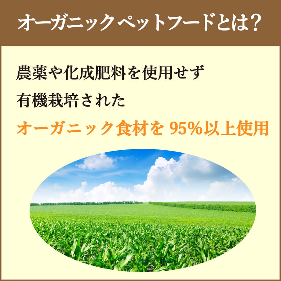638eadbc18324e6816413a70