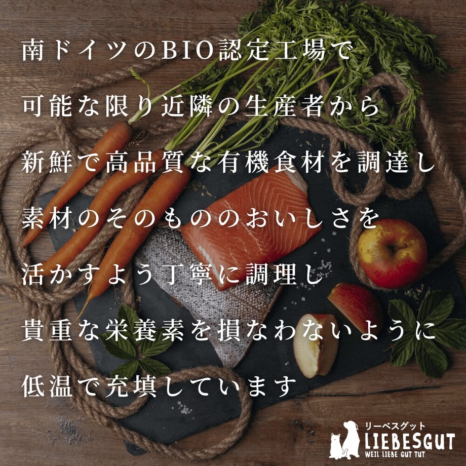 6380c7e853ee8d00015c8249