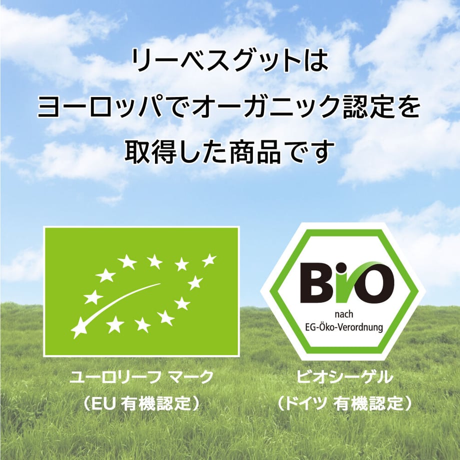 638eadbc18324e6816413a70