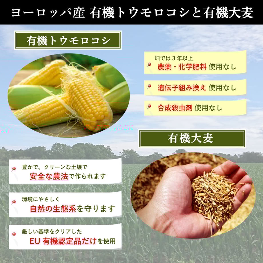 64ad12fa81cb29002b3fd5bf