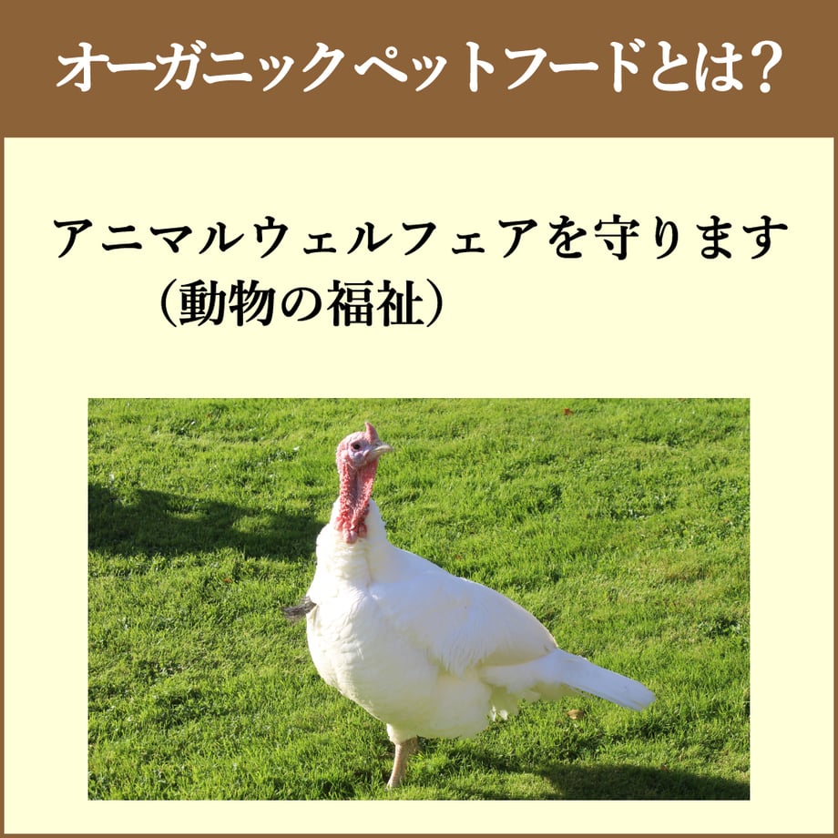 61e67f38e3bbd1218fdc8152