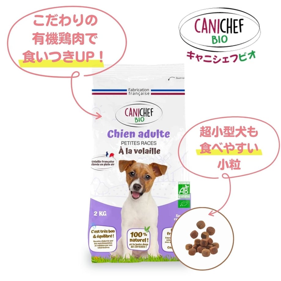 668267c3f3e168008afbf290