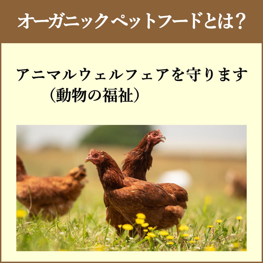638eb2d9f405a17041d36caa