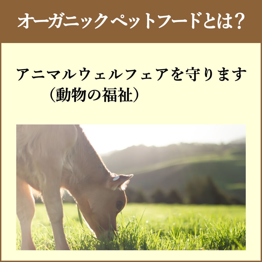 610cbd372b2d3d56d1f6eff3