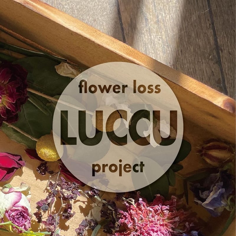 ソイワックス・メルツ＆ポプリ | フリーサンズビオ公式オンラインストア