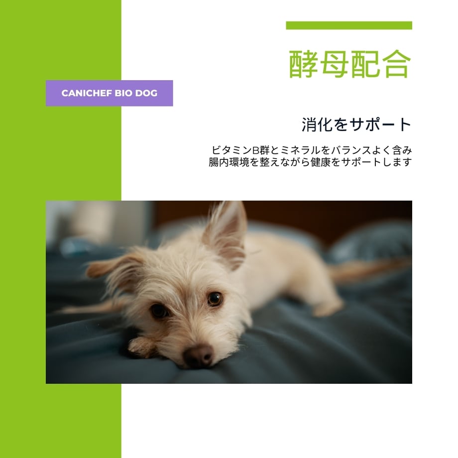 66ac8bccb46a37035bcc7f3a