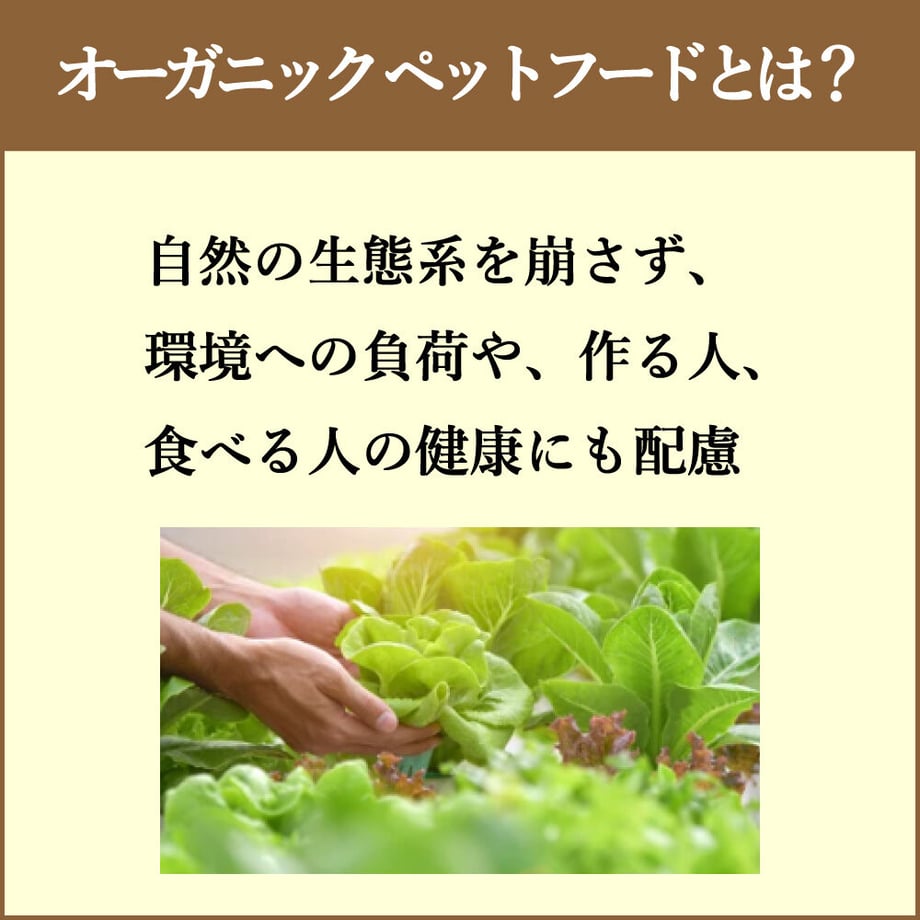 6380c7eb53ee8d00015c8261