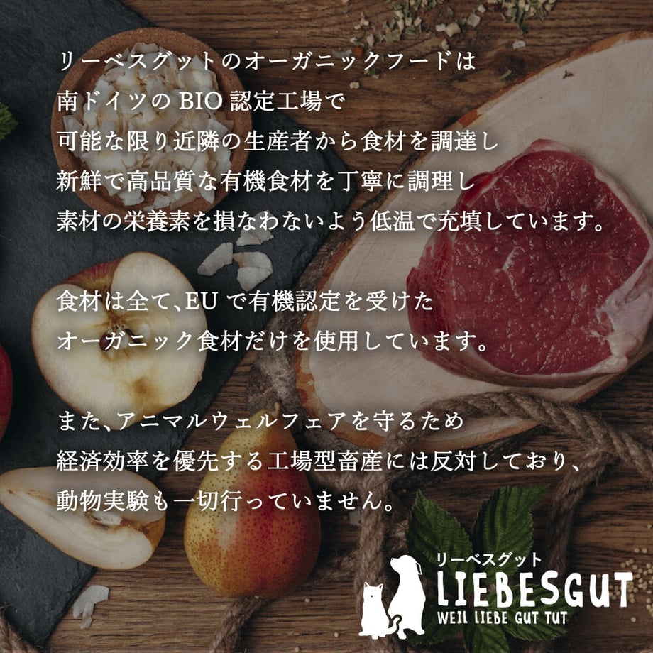 6386e0a041e8c0412f2f33fe